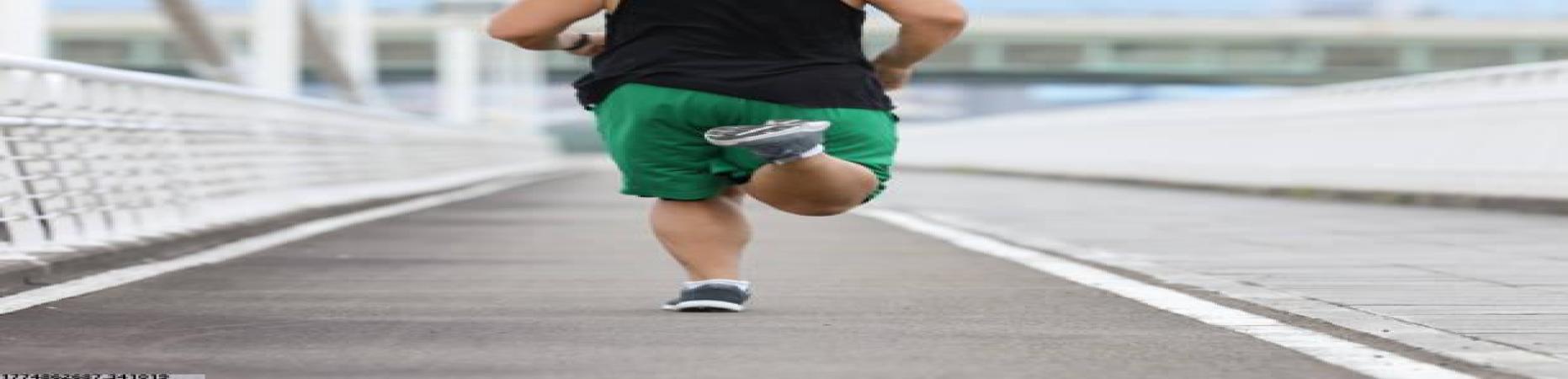 2026世界杯官网入口数据分析支持专业决策